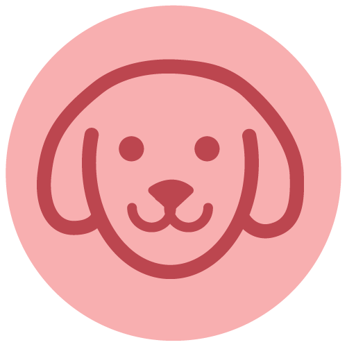 Dog Supplies & Accessories Dog Supplies & Accessories