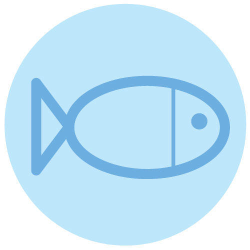 Fish Supplies & Accessories Fish Supplies & Accessories
