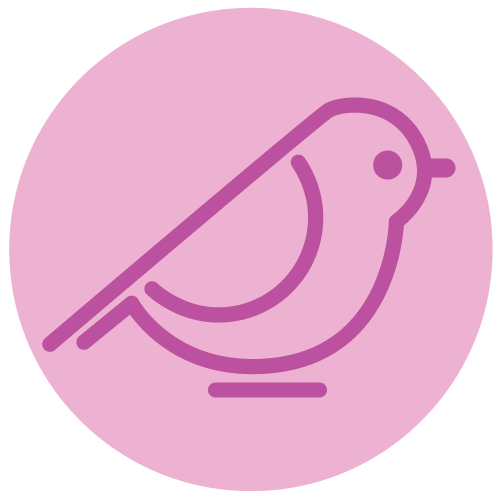 Bird Supplies & Accessories Bird Supplies & Accessories